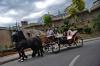 BRAILA(BRAILA) vand cai si trasura