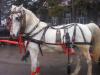 BRAILA(BRAILA) Vand cai pereche