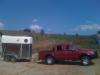 BRAILA(BRAILA) Vand remorca transport cai